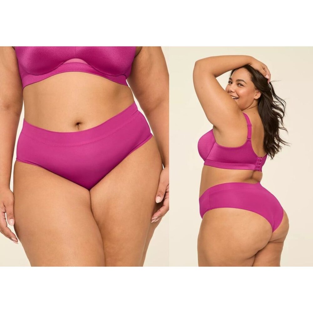 Lane Bryant Cacique Comfort Bliss Cheeky Panty 26/28